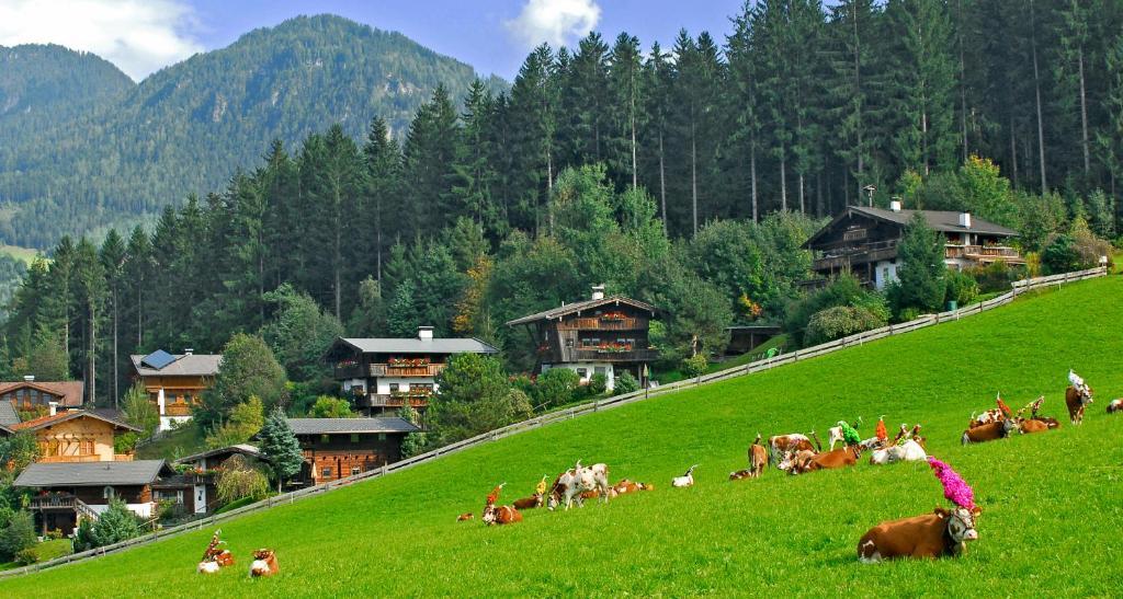 Ferienhaeuser Reither Almen Reith im Alpbachtal Værelse billede